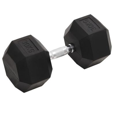 vidaXL Kurzhantel 30 kg Gusseisen