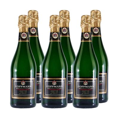 J. Oppmann Rheingau Riesling -extra trocken- (6 x 0,75L)