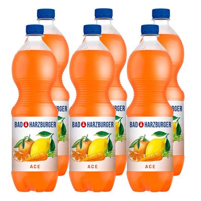 Bad Harzburger ACE Vitamingetränk (12 x 1,0L)