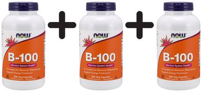 3 x NOW Foods Vitamin B-100 - 250 vcaps