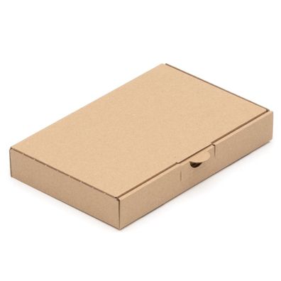 25 Warensendungen 220 x 140 x 32 Maxibriefkarton Post Maxibrief Karton BRAUN"