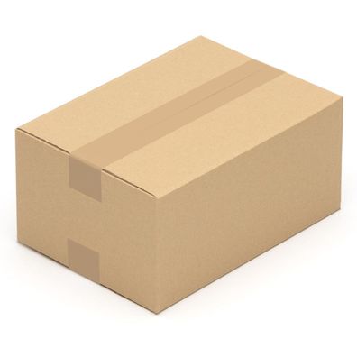 100 Faltkarton Faltschachteln Verpackung 300x215x140 * "