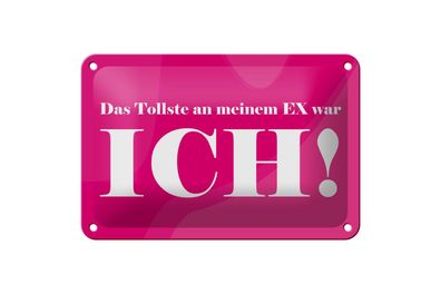Blechschild 18 x 12 cm Das Tollste an meinem Ex