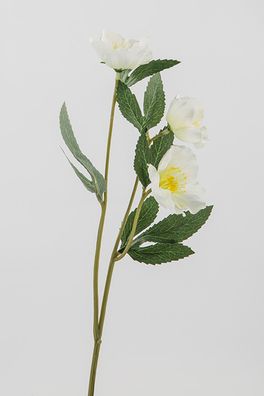 Fink Christrose, Kunstblume, Kunstfasern, grün, weiß, H. 36 cm Höhe: 35.50 cm 181330