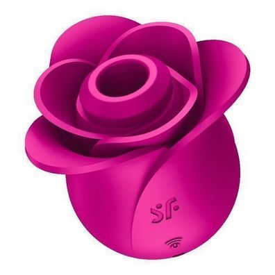 Satisfyer Pro 2 Modern Blossom Klitoral-Stimulator Rose, 1 Stueck