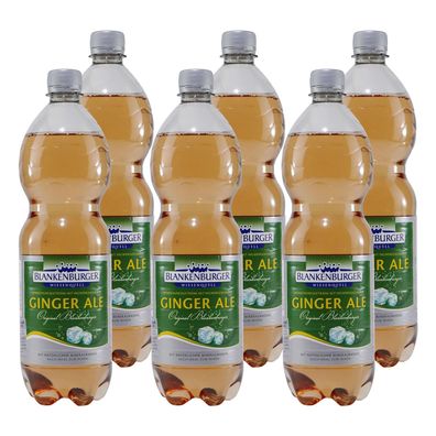 Blankenburger Ginger Ale (12 x 1,0L)