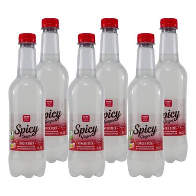 Beste Wahl Spicy Ginger Getränk (18 x 0,5L)