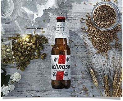 6 Flaschen Ichnusa Classico aus Sardinien mit 4,7% Alk. 0,33l Bier Beer