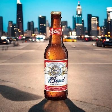 6 x Budweiser Beer USA, das Original, in der 0,33 l Bier Flasche