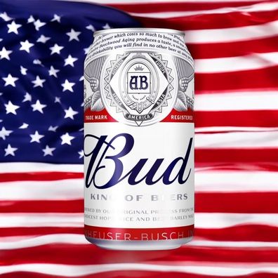 Bud Beer USA 0,33l- The King of Beer mit 5% Vol. 6 x 0,33l