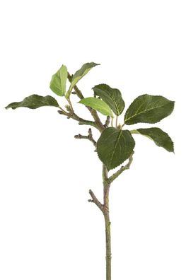 Fink Apfelblätterzweig, Zweig, Kunstfasern, grün, H. 39 cm Höhe: 39.00 cm 186232