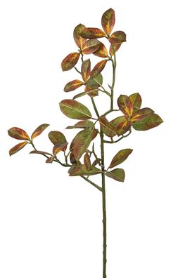 Fink BLATT, Kunstblume, synthetische Faser, grün, braun, H. 78 cm Höhe: 78.00 cm
