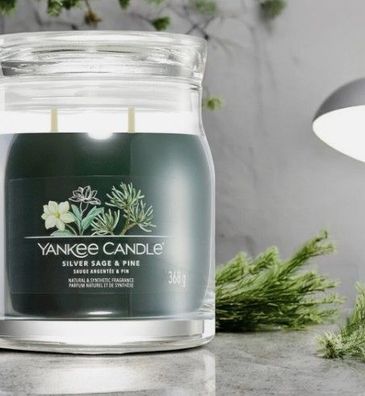 Yankee Candle - Silver Sage & Pine