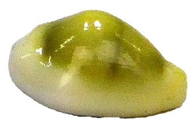 Monetaria annulus von 29mm bis 36mm