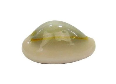 Monetaria annulus von 15mm bis 25mm