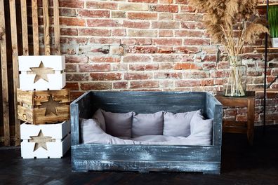 Hundebett Balu Shabby schwarz mit Kissen 90x57x45cm Hundekiste Hundesofa Kistenbet