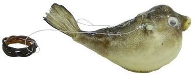 3 Kugelfische / Papageienfische mit Aufhänger ca 7cm