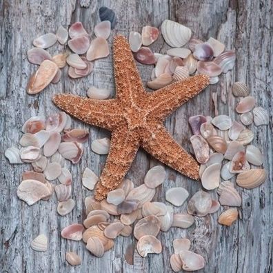 Seestern mit Muscheln Servietten
