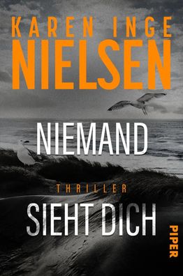 Niemand sieht dich | Karen Inge Nielsen | Taschenbuch | Grenzland | 400 S