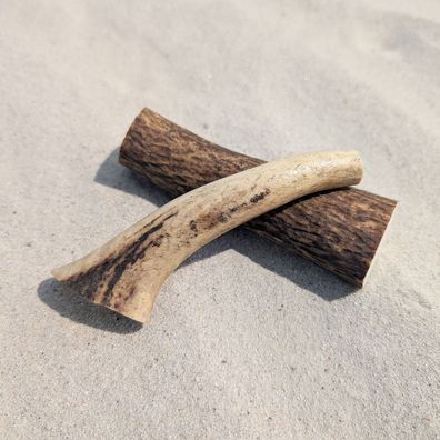 2 Stück 10-15 cm Rothirschgeweihe - Krone Gehörn Geweihstange Hirsch Geweihspitze