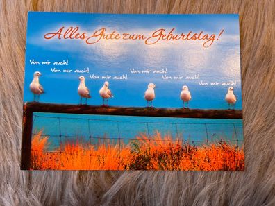 Cartolini Postkarte Alles Gute zum Geburtstag, Möwen