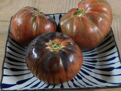 TOMATE Marsha´s Starfighter Beefsteak 5+ SAMEN P 638