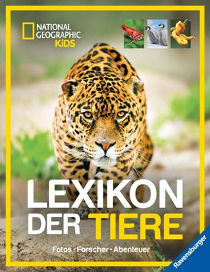 National Geographic Kids - Lexikon der Tiere | Anette Ostländer | Buch | 304 S