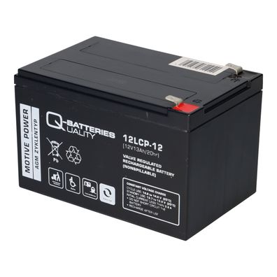 Ersatz-Akku 12LCP-12 12V-13Ah f. elektrische Kehrmaschine Haaga 677 & 697 Profi-Li