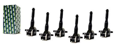 6x Zündspule für BMW 320i E36 323i 2.5 328i E46 325i E39 520i 523i 528i 530i E38
