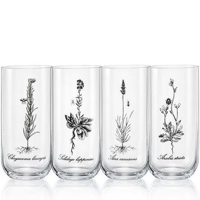 Longdrinks Herbal Wiesenkräuter Kristallglas 440 ml 4er Set Bohemia