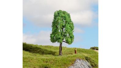 Noch G,1,0, 0, 0M, 0E, T, , 20101 Esche 13 cm hoch