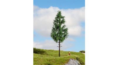 Noch G,1,0, 0, 0M, 0E, T, , 20196 Hochstammfichte 21 cm hoch
