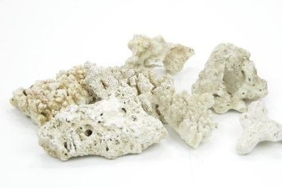 kleiner Korallenbruch naturbelassen