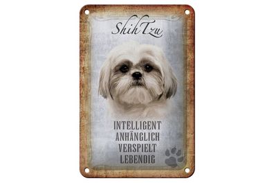 Blechschild 30 x 20 cm Hund - Shih Tzu
