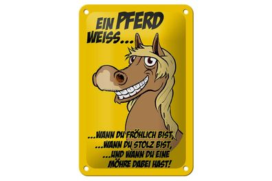 Blechschild 18 x 12 cm Ein Pferd weiß - wann es fröhlich sein muss