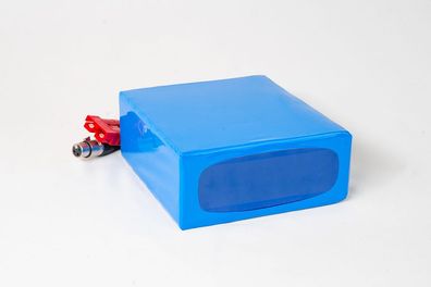 LiFePO4 Akku 24V 20Ah Lithium-Eisen-Phosphat Batterie für Camping Boot Solar Carav