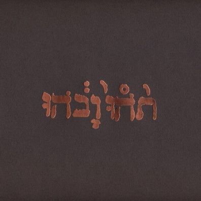 Godspeed You! Black Emperor: Slow Riot For New Zero - Constell