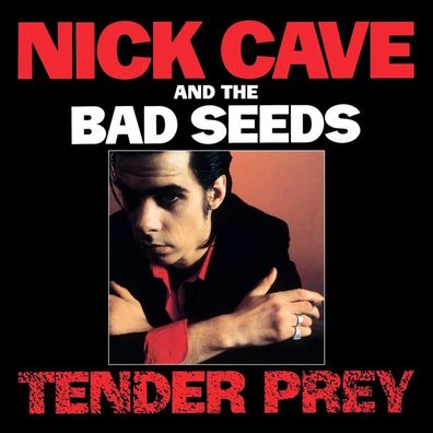 Nick Cave & The Bad Seeds: Nick Cave & The Bad Seeds: Tender P