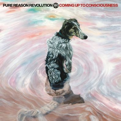 Pure Reason Revolution: Pure Reason Revolution: Coming Up To C