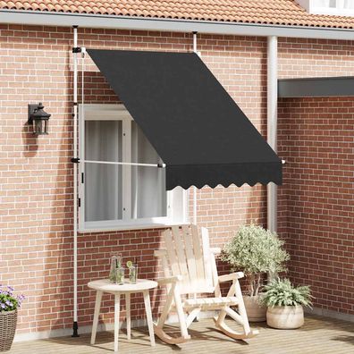 vidaXL Einziehbare Markise Handbetrieben 150 cm Anthrazit