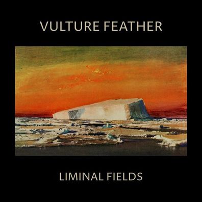 Vulture Feather: Vulture Feather: Liminal Fields (Limited Edit