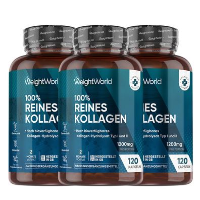 Kollagen Kapseln - 1200mg reines Marine Collagen Typ I und III - 3 Flaschen
