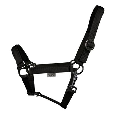 EQuest Halfter Regular Plus aus Polypropylen, schwarz - M / Vollblut / Cob