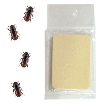 Chalcowit Dispensertechnik - Pheromon zur Anlockung des Kupferstechers (5 Stk.)