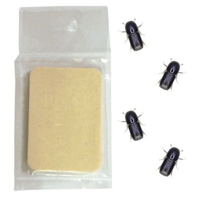 Ipsowit Standard - Pheromon zur Anlockung des Buchdruckers (5 Stk.)