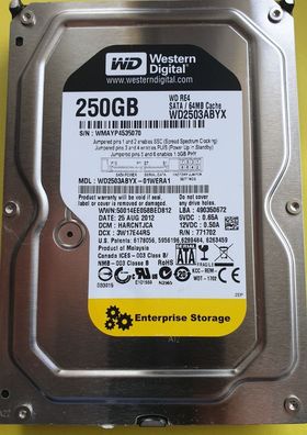 Western Digital WD2503ABYZ 250GB SATA 3,5"