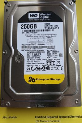 Western Digital WD2502ABYS 250GB SATA 3.5"