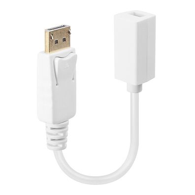 Lindy 41060 DisplayPort: DP(M) / / / / / / / /(F) Adapterkabel ca. 15cm