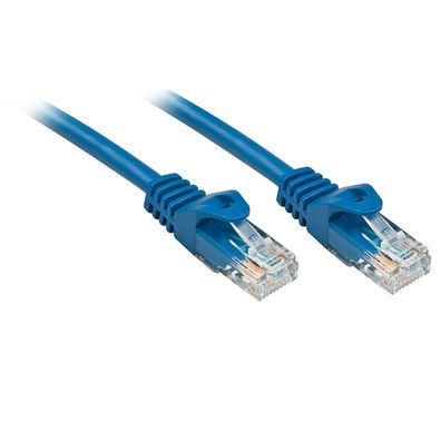 Lindy 48170 Basic Cat6 U/UTP Kabel, blau, 0.30m