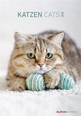 Bildkalender "Katzen" - 24 x 34 cm